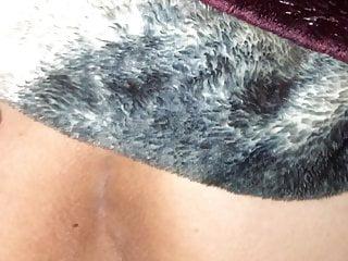 Geile Brünette wird in der hündchenstellung gefickt