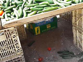 Auf der Suche nach dem bazaar