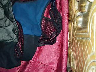 Setz dich auf die truie honoree