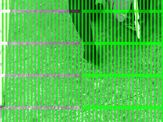 Sex mit einem Strapon im Gesicht