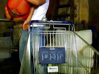 Schöne Brünette elektra Sweet in der hündchenstellung gefickt