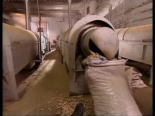 Die Röckchen der Lust - kompletter Film